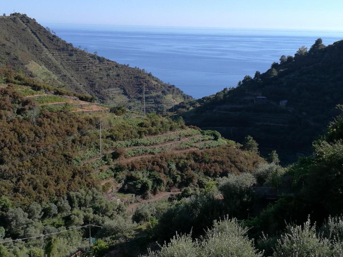 ☆ Terrace & Relax ☆ Casa Franceschin_ Homy 5 Terre Villa Riomaggiore Exterior photo