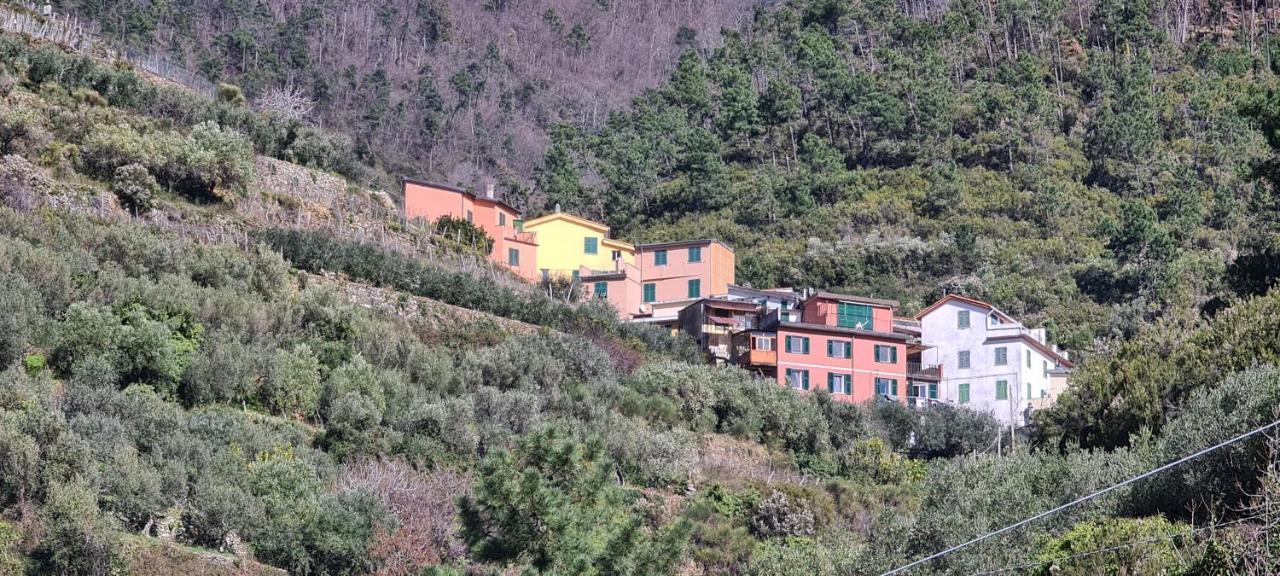 ☆ Terrace & Relax ☆ Casa Franceschin_ Homy 5 Terre Villa Riomaggiore Exterior photo
